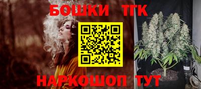 крисы Коммунар