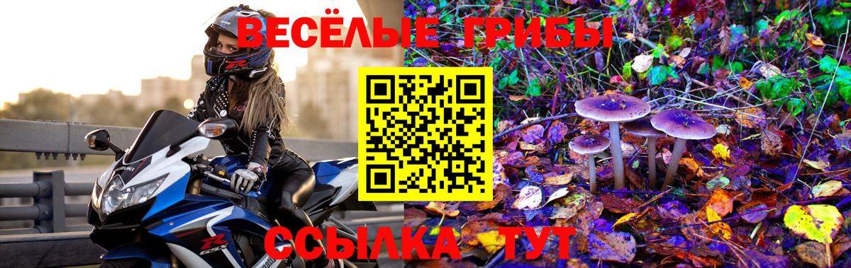Псилоцибиновые грибы MAGIC MUSHROOMS Златоуст