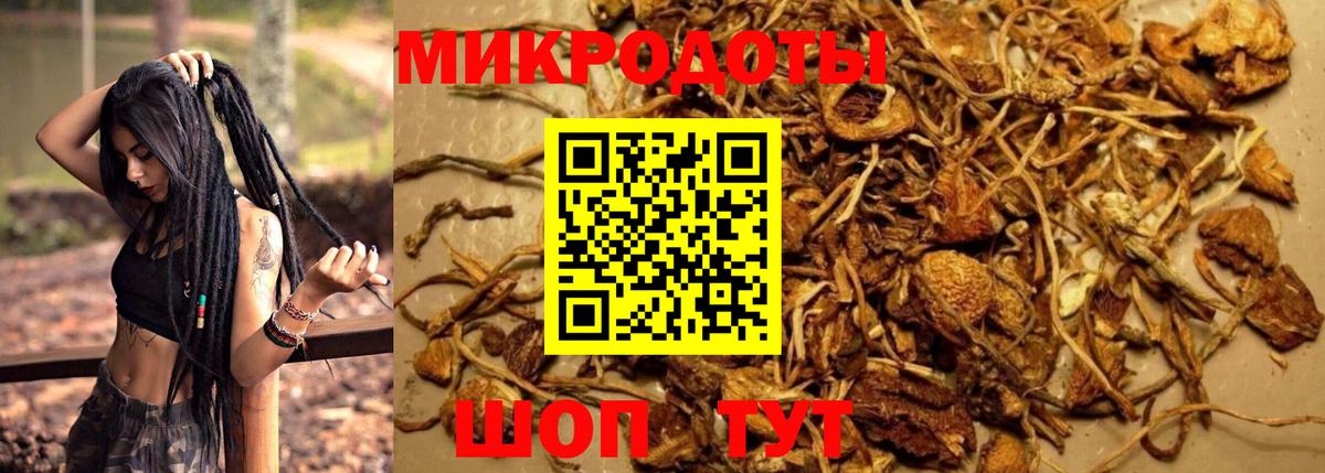 Златоуст  Галлюциногенные грибы MAGIC MUSHROOMS  Вход с VPN 